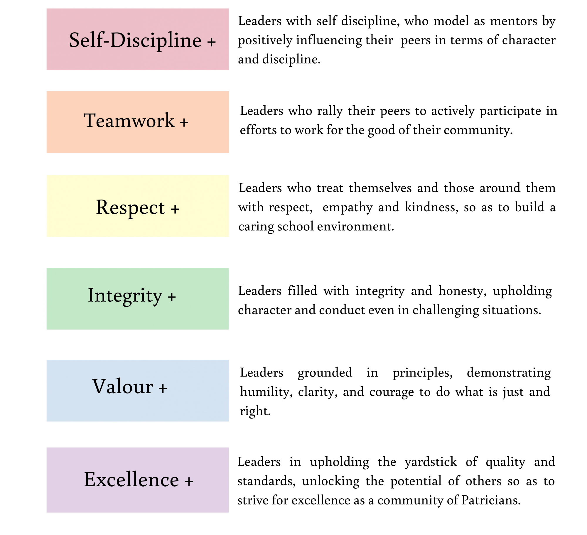 Six colored boxes listing leadership values: Self-Discipline, Teamwork, Respect, Integrity, Valour, and Excellence, each with a description.